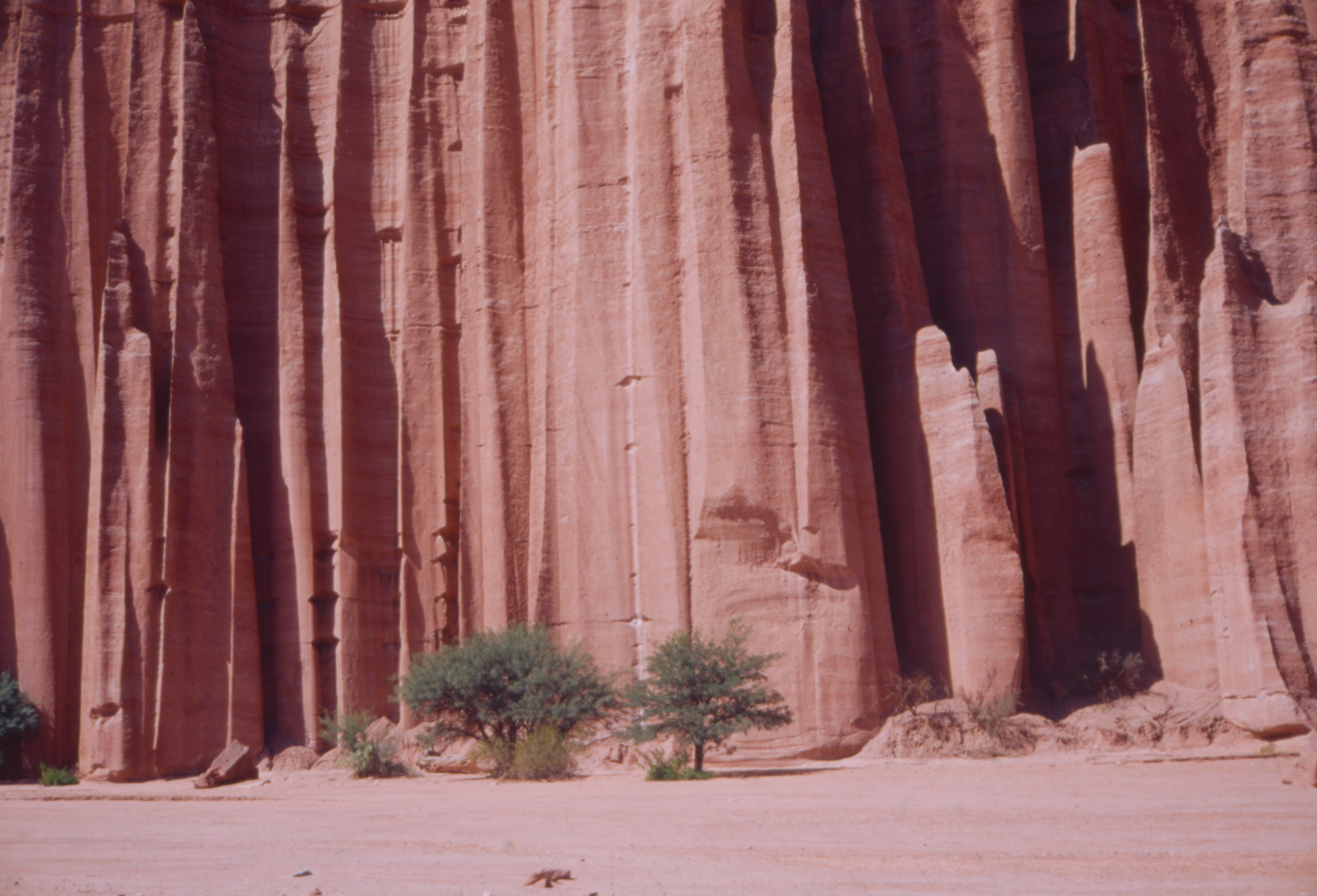 Talampaya Canyon